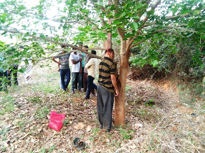 ಹನೂರು: ನೇಣು ಬಿಗಿದ ಸ್ಥಿತಿಯಲ್ಲಿ ಅಪರಿಚಿತ ವ್ಯಕ್ತಿಯ ಶವ ಪತ್ತೆ